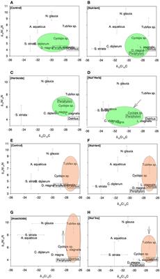 Pressure-Induced Shifts in Trophic Linkages in a Simplified Aquatic Food Web